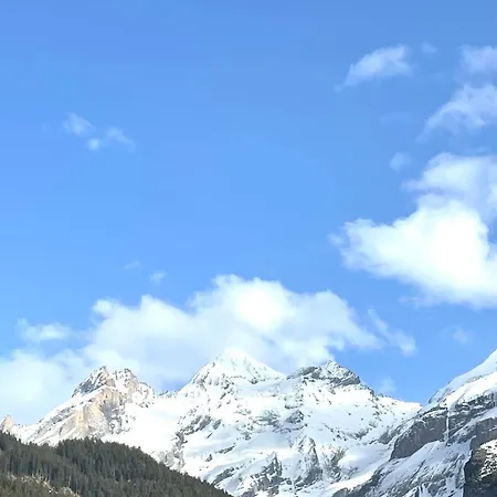 Charming, Well-Equipped Alpine Apartment Kandersteg Exterior photo